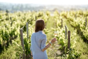 Comment Les Vins Primeurs Exposent L'Essence du Terroir: Guide Dégustation et Techniques